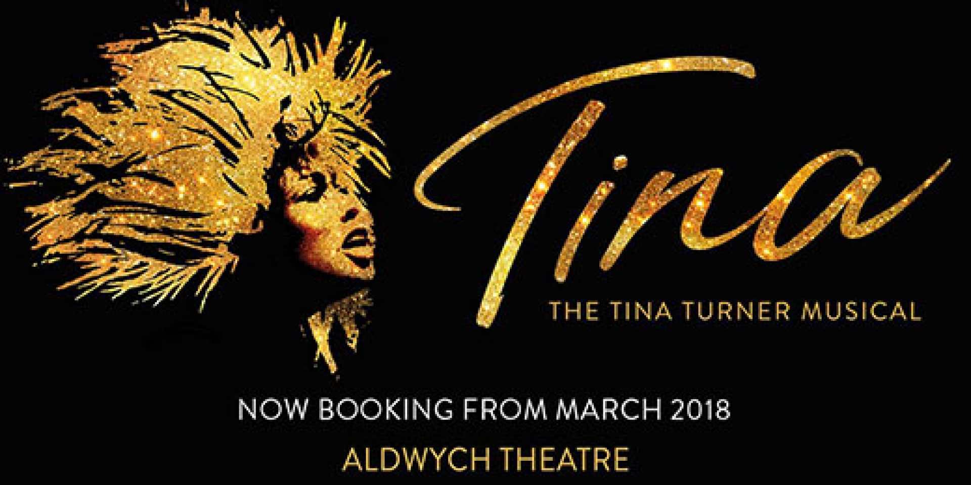 Tina Turner the Musical - SOLD OUT