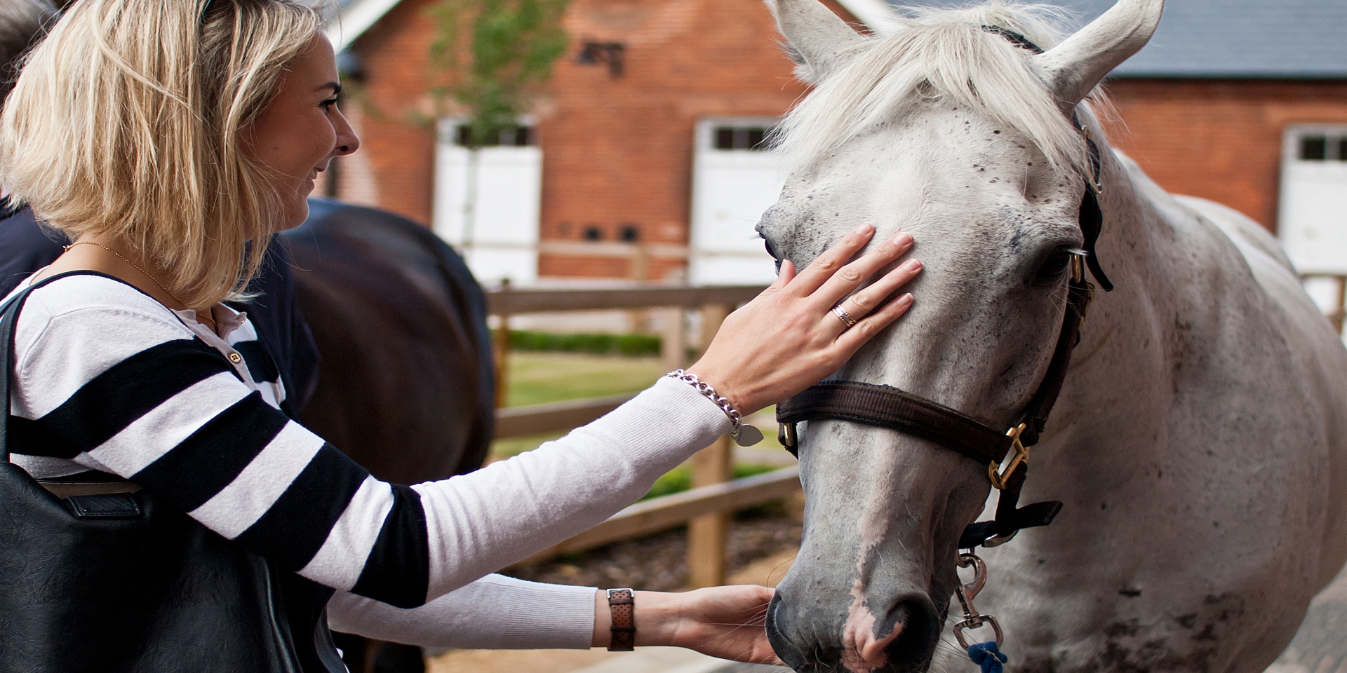 National Stud Newmarket Tour