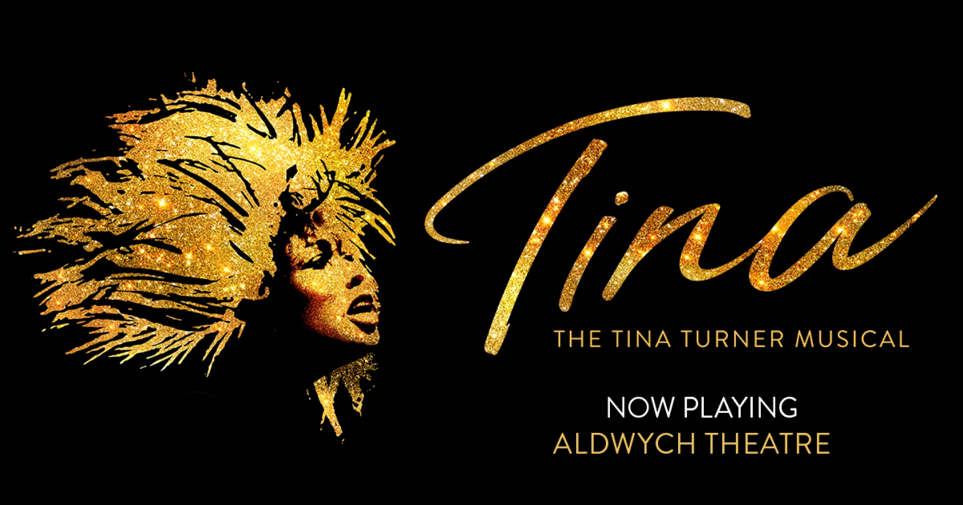 Tina Turner (Matinee) - SOLD OUT