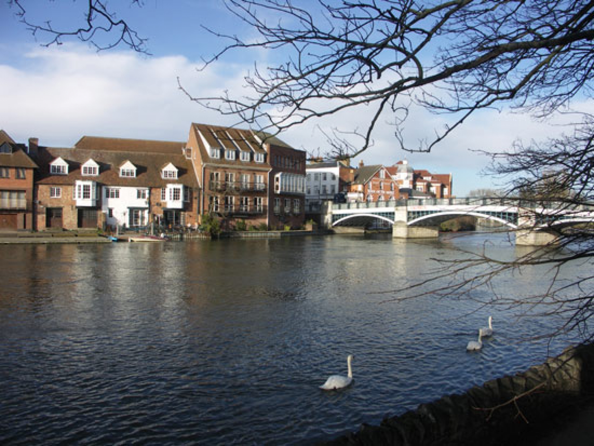 Windsor Afternoon Tea Cruise