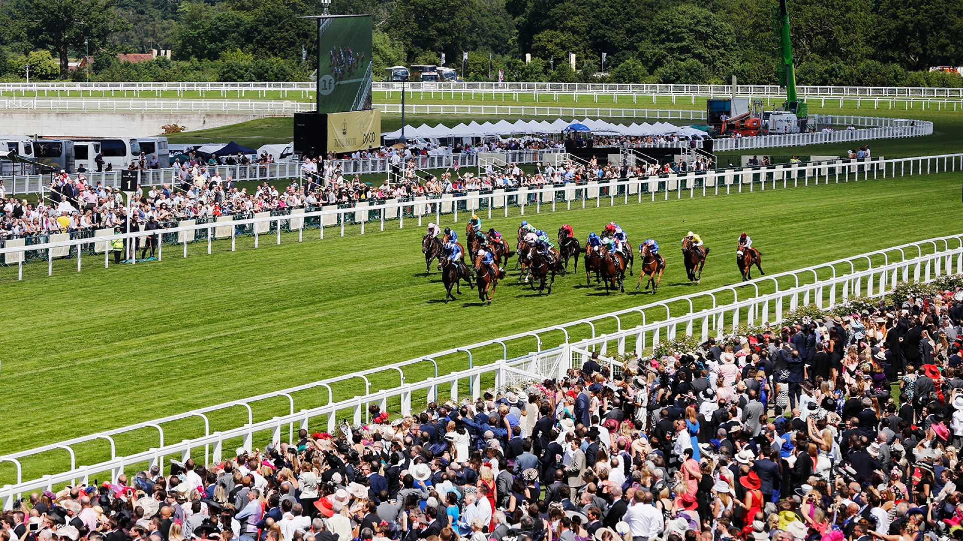 Ascot (Queen Anne Enclosure)
