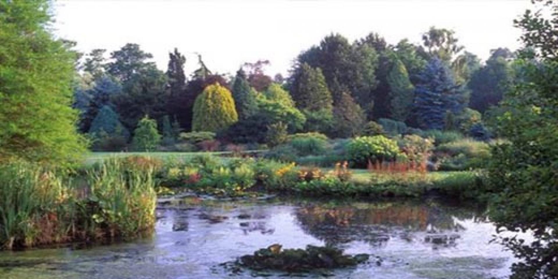 Bressingham Steam & Gardens